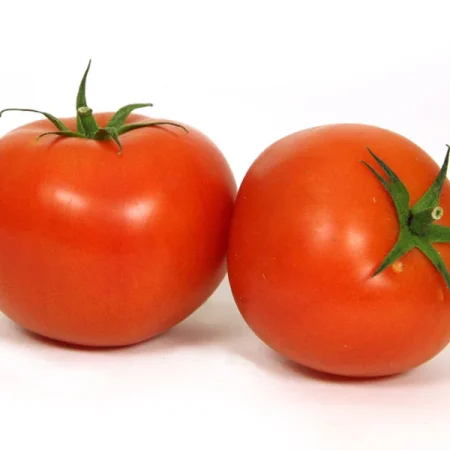 TOMATE RONDE