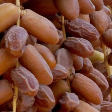 DATTES D'ALGERIE 1KG
