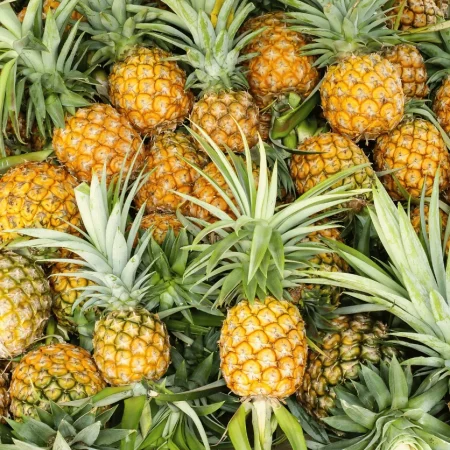 ANANAS AVION