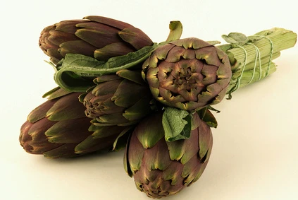 ARTICHAUT BOUQUET