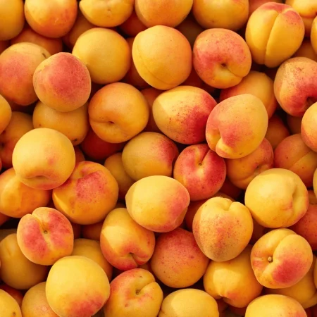 ABRICOT la caisse de 5Kg, idéal pour confiture