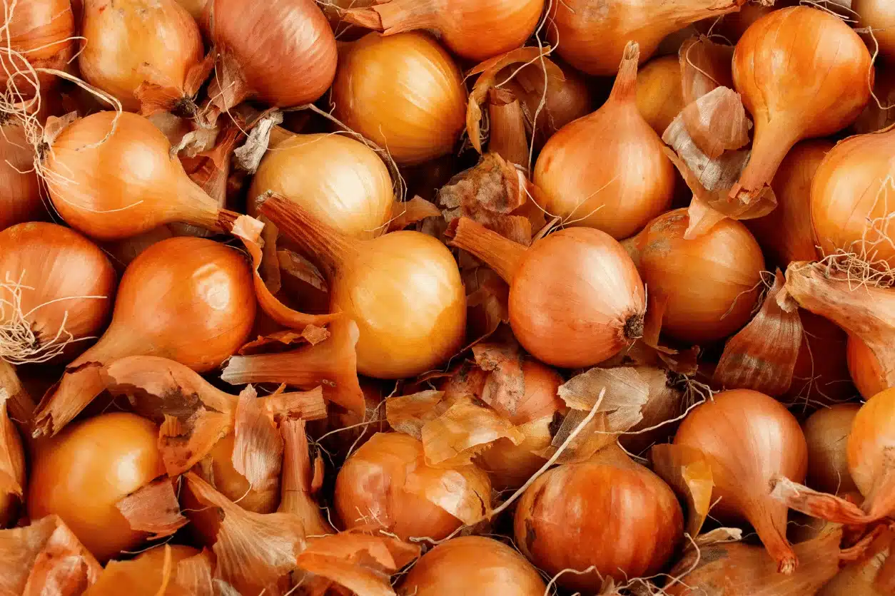 OIGNON JAUNE FILET 1KG