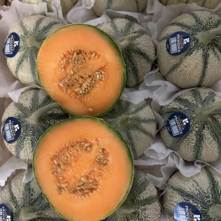 MELON