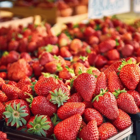 FRAISE DE PROVENCE le panier de 1Kg