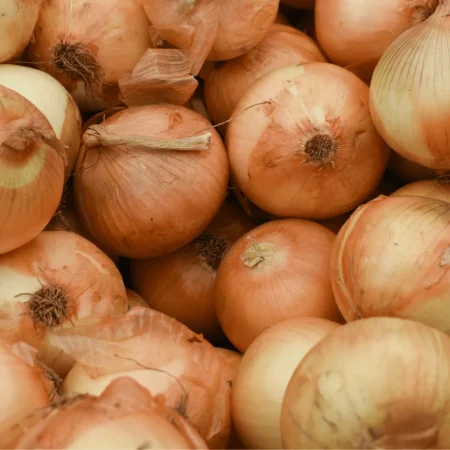 OIGNON JAUNE FILET 1KG