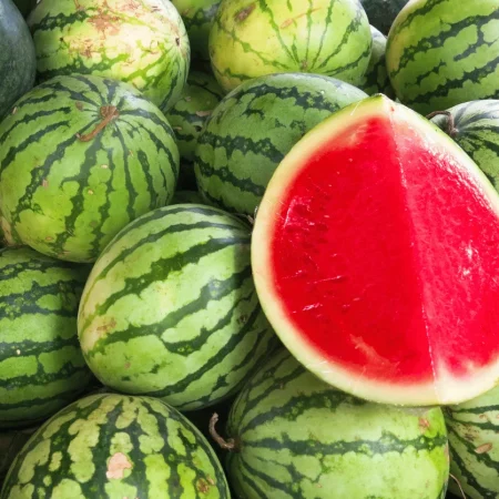 PASTEQUE SANS PEPINS