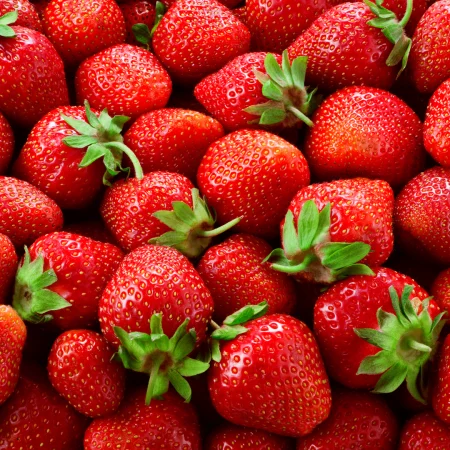 FRAISE DE PROVENCE le panier de 1Kg