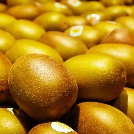 KIWI GOLD