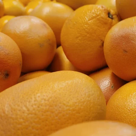 POMELOS RUBY le lot de 3