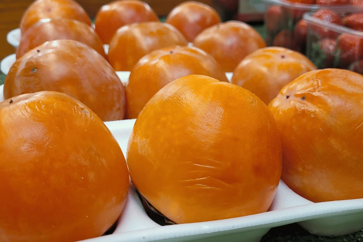 KAKIS la barquette de 3