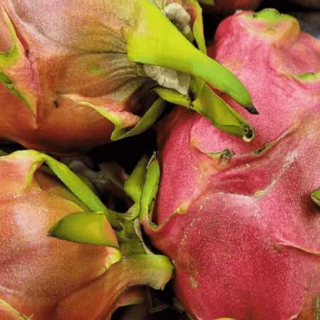 PITAYA