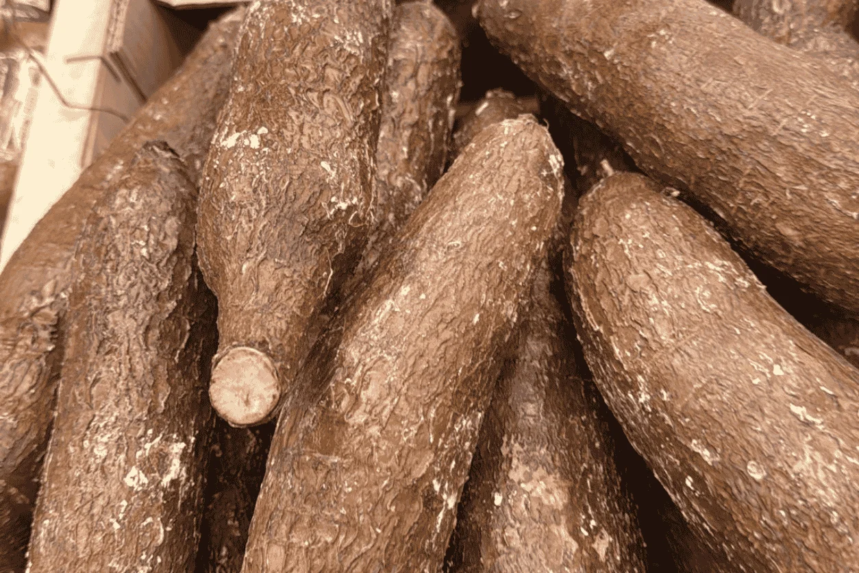 MANIOC