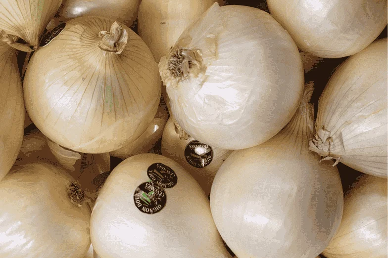 OIGNON DOUX des Cévennes