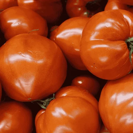 TOMATE ALLONGEE COEUR ROUGE