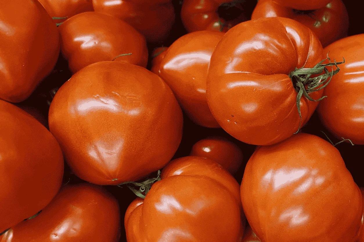 TOMATE ALLONGEE COEUR ROUGE