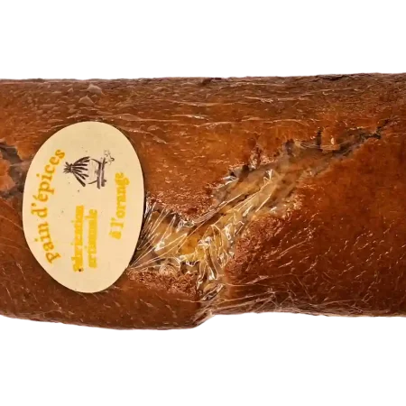 PAIN D'EPICES ARTISANAL ORANGE