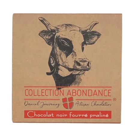 CARRE CHOC ABONDANCE 40GR