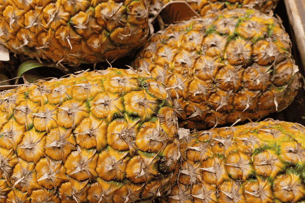ANANAS VICTORIA