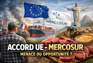 Scène mettant en avant tous les éléments liés au accords Mercosur-Europe.