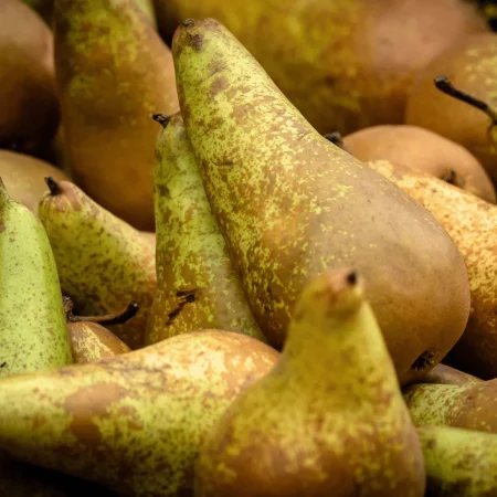 POIRE CONFERENCE de nos vergers