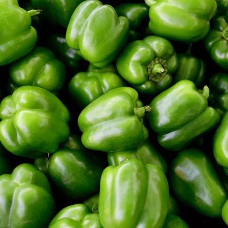 POIVRON VERT