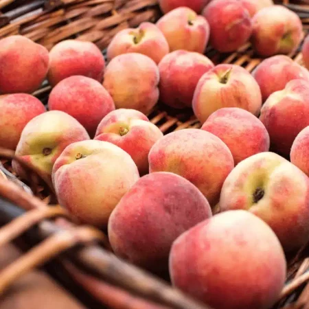 ABRICOT PANIER 1KG BERGEVAL