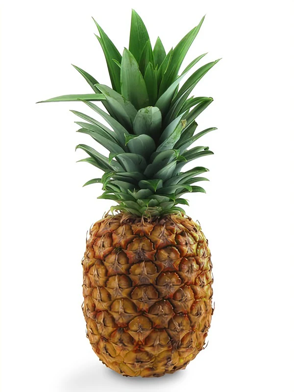ANANAS AVION