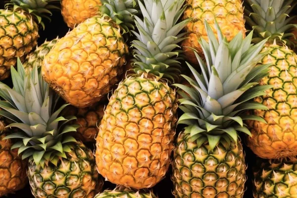 ANANAS SWEET - Marché Pernoud