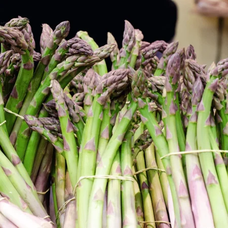 ASPERGE BLANCHE la botte de 1Kg