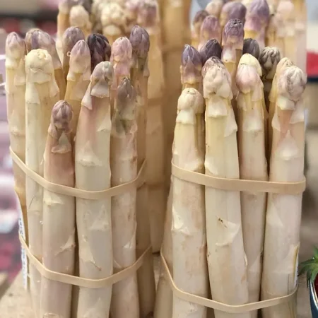 ASPERGE la botte de 1Kg