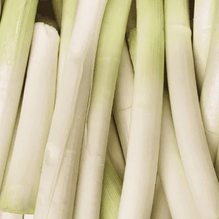 BLANC DE POIREAUX