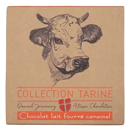 CARRE CHOC TARINE 40GR