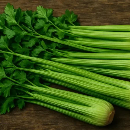 CELERI BRANCHE VERT