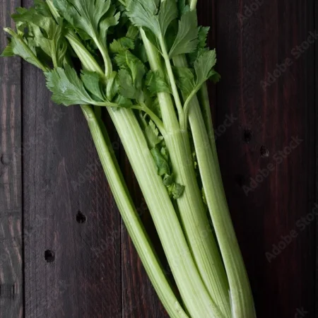 CELERI BRANCHE VERT