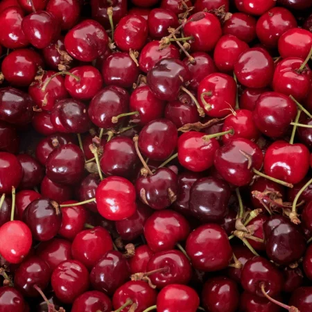 CERISE BIGARREAU LE PANIER DE 1KG