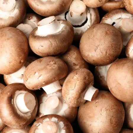 CHAMPIGNON BRUN BQ 250GR
