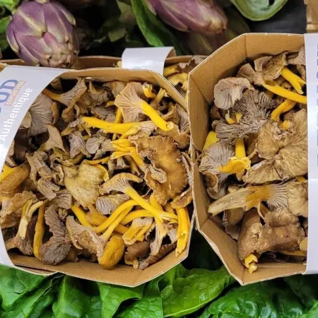 CHAMPIGNON CHANTERELLE GRISE 500G