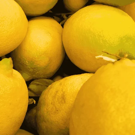 CITRON FEUILLE DE CORSE