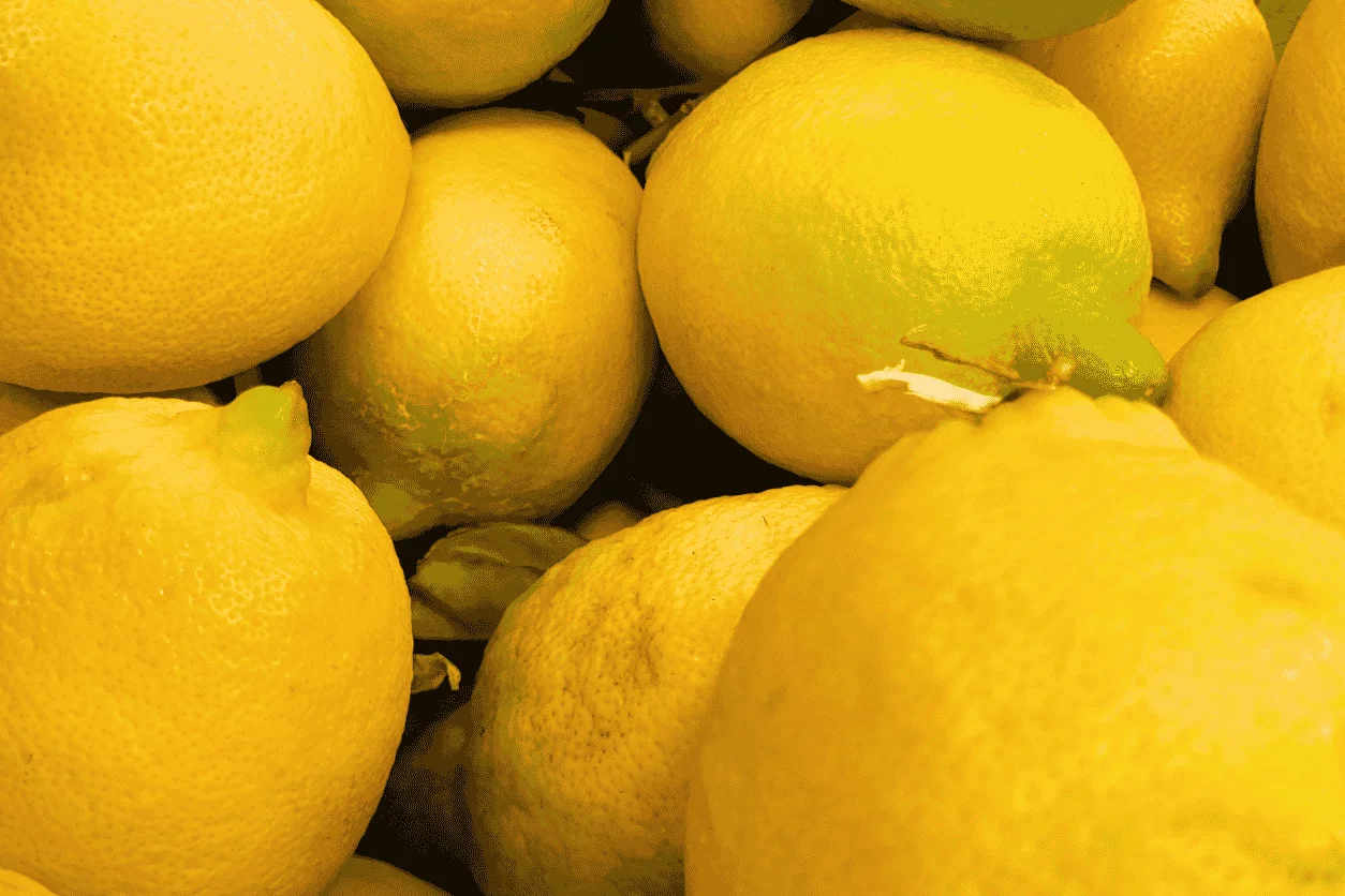 CITRON FEUILLE DE CORSE