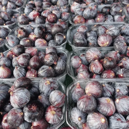 FIGUE FRAICHE la barquette de 500Gr