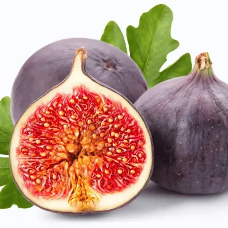 FIGUE FRAICHE
