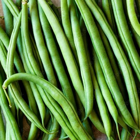 HARICOT VERT 500GR