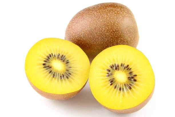 KIWI GOLD