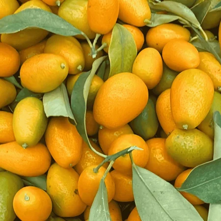 KUMQUATS