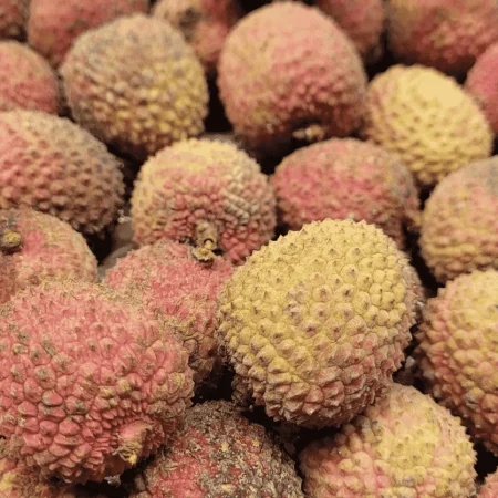 LITCHI