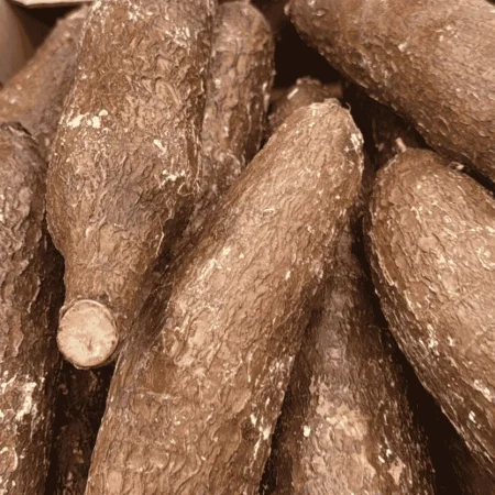 MANIOC