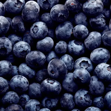 MYRTILLE sauvage  500g