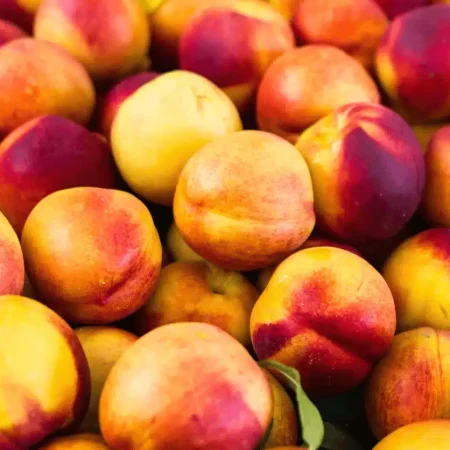 NECTARINE JAUNE env. 4KG