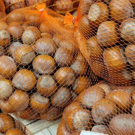 NOISETTE FILET 500Gr