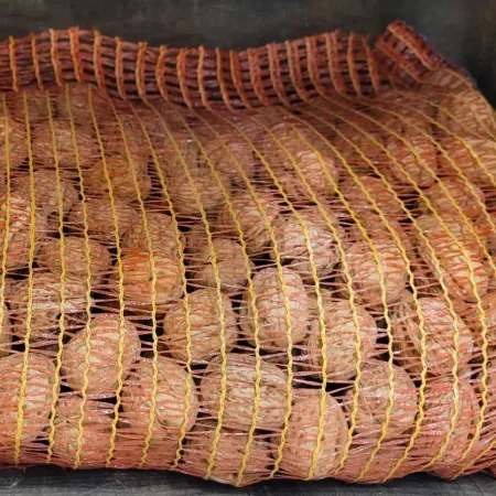 NOIX de Grenoble FILET 5KG